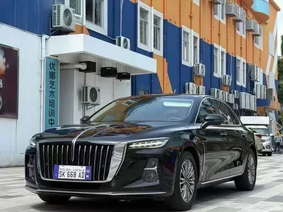 2023 Hongqi H5 1.5T DCT Smart Connect Joy Edition, фото 1, лот 11191492