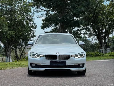 2019 BMW 3 Series 320Li Fashion Type, фото 2, лот 11579142