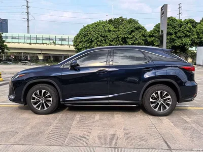 2020 Lexus RX 300 2WD Elite Edition China VI, фото 3, лот 10625674