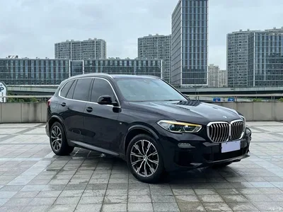2019 BMW X5 (Import) xDrive30i M Sport Package, фото 4, лот 10343557