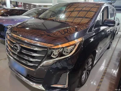2020 GAC Trumpchi Trumpchi M8 Pilot 390T Prestige Edition, фото 2, лот 10902408