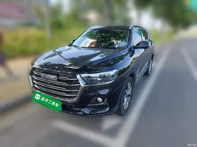 2021 Haval H6 Model National Trend Edition 1.5T Auto Champion, фото 2, лот 10286274
