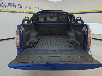 2021 Great Wall Pao 2.0T Passenger Global Edition Automatic Gasoline 4WD Comfort Standard Box GW4C20B, фото 4, лот 10593264
