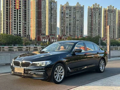 2018 BMW 5 Series 528Li Launch Special Edition, фото 1, лот 10615913
