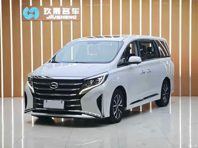 2021 GAC Trumpchi Trumpchi M8 Leading Show Series 390T Luxury Edition, фото 1, лот 10415263