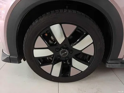 2021 BYD Dolphin 401km Knight Edition, фото 4, лот 11008030