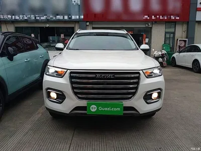 2019 Haval H6 1.5GDIT Automatic Champion Edition China VI, фото 3, лот 11131918