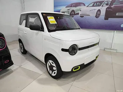 2025 Geely Galaxy Panda mini 210km Vitality Bear, фото 4, лот 10387271