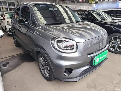 2021 Leapmotor T03 400 Comfort Edition, фото 4, лот 10442499