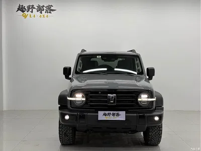 2021 Tank 300 Off-road Version 2.0T Conqueror, фото 2, лот 10344534