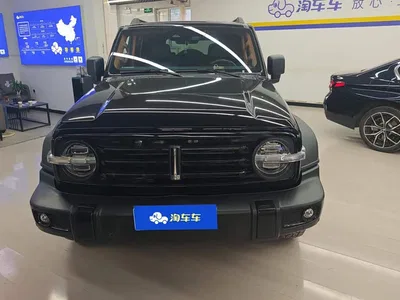 2021 Tank 300 Off-road Version 2.0T Conqueror, фото 2, лот 11133851