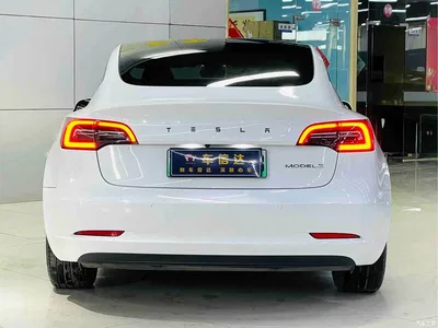2022 Tesla Model 3 Model Rear-Wheel Drive Version, фото 4, лот 10680125