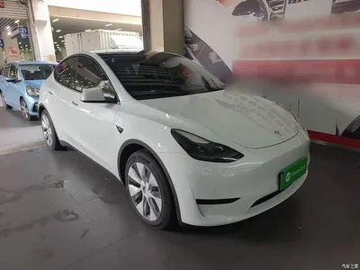 2022 Tesla Model Y Facelift Rear-Wheel Drive Version, фото 4, лот 10829380