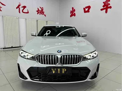 2023 BMW 3 Series 320Li M Sport Package, фото 2, лот 10930998