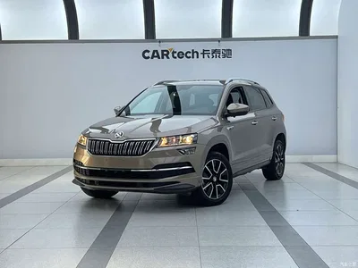 2022 Škoda Karoq TSI280 Premium Edition, фото 1, лот 10349508