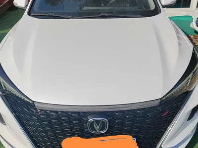 2020 Changan Eado PLUS Blue Whale NE 1.4T GDI DCT Premium, фото 2, лот 11177495