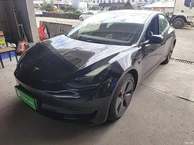 2022 Tesla Model 3 Model Rear-Wheel Drive Version, фото 1, лот 10370539
