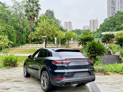 2023 Porsche Cayenne Coupé 3.0T Platinum Edition, фото 2, лот 11249943