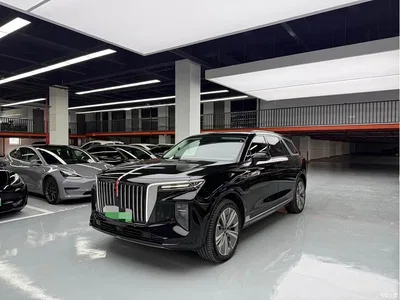 2021 Hongqi E-HS9 510km Flagship Comfort 6-seater, фото 1, лот 10288667