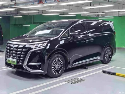 2024 Denza D9 DM-i 980 AWD Premium, фото 1, лот 11197278