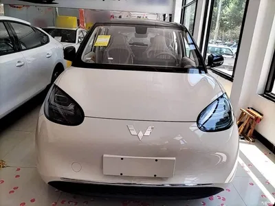 2025 Wuling Motors Wuling Bingo Model 333km Joy Edition, фото 3, лот 10371295