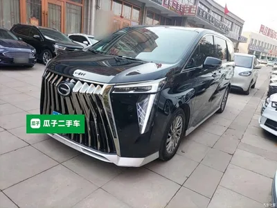 2024 GAC Trumpchi Trumpchi M8 Model Grandmaster Series 400T Pioneer Edition, фото 1, лот 10426236