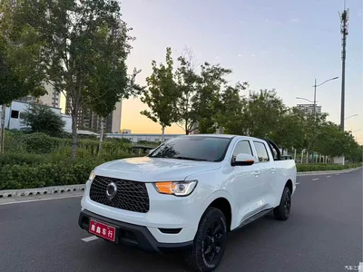 2021 Great Wall Pao 2.0T Commercial Edition Automatic Diesel 2WD Elite Long Box GW4D20M, фото 3, лот 10246060