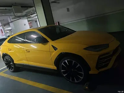 2021 Lamborghini Urus 4.0T V8, фото 3, лот 10308565