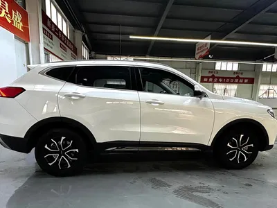 2021 Haval H6 Model 1.5T Automatic Urban Edition, фото 4, лот 10282860