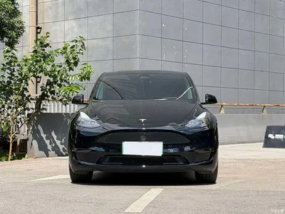 2023 Tesla Model Y Long Range All-Wheel Drive Edition, фото 2, лот 11211960