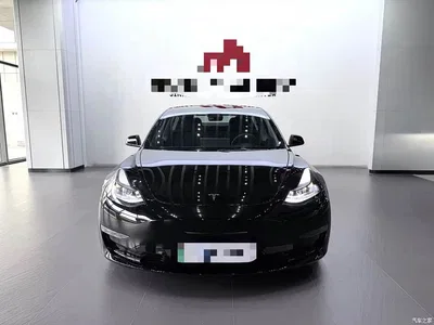 2021 Tesla Model 3 Performance High-Performance All-Wheel Drive, фото 2, лот 10455765