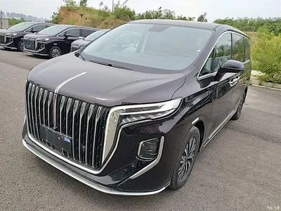 2024 Hongqi HQ9 PHEV Model 2.0T AWD Business Edition, фото 1, лот 10289851