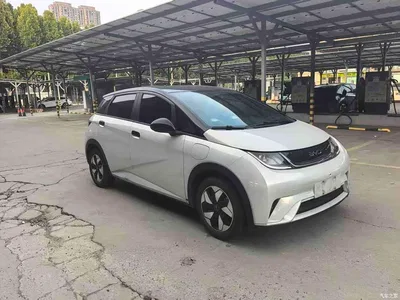 2025 BYD Dolphin 420km Freedom Edition, фото 3, лот 11180306