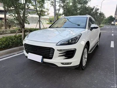 2017 Zotye SR9 2.0T Auto Ultimate Light Edition, фото 1, лот 10458256