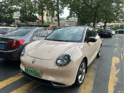 2021 Ora Good Cat 400km Standard Range Athena Edition (LFP), фото 1, лот 10352923