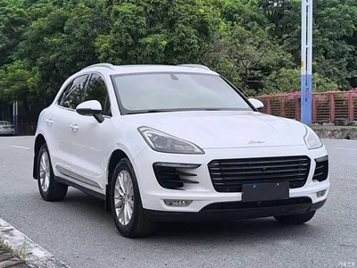 2017 Zotye SR9 2.0T Auto Ultimate Dream Edition, фото 3, лот 10458247