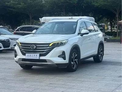 2019 GAC Trumpchi Trumpchi GS5 270T Automatic Luxury, фото 1, лот 11215560