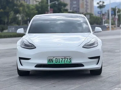 2019 Tesla Model 3 Standard Range Rear-Wheel Drive Upgrade, фото 2, лот 10346441