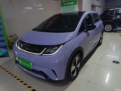 2023 BYD Dolphin 420km Fashion Edition, фото 1, лот 10263711