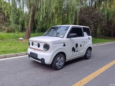 2024 Geely Galaxy Panda mini 200km Endurance Bear, фото 1, лот 10430994