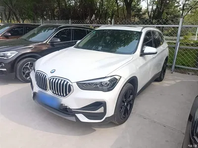 2020 BMW X1 sDrive20Li Fashion Model, фото 2, лот 10468003