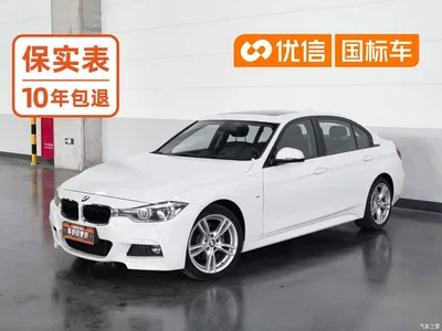 2019 BMW 3 Series 320Li M Sport Package, фото 1, лот 10816384