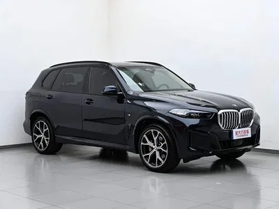 2023 BMW X5 xDrive 30Li Premium M Sport Black Night Package, фото 4, лот 10402933
