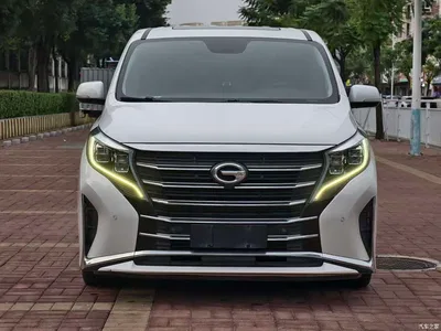 2021 GAC Trumpchi Trumpchi M8 Leading Show Series 390T Prestige Edition, фото 2, лот 11081798