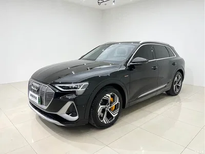 2021 Audi e-tron 50 quattro Exclusive Selection, фото 1, лот 10233964