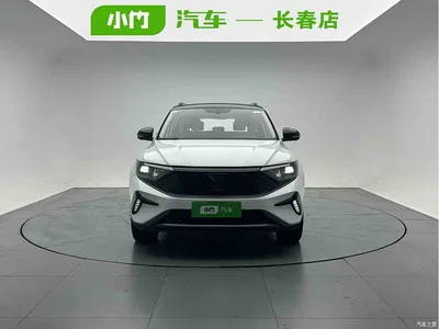 2021 Jetta VS7 Panda Edition 1.4T Auto Glory Edition, фото 2, лот 10424009