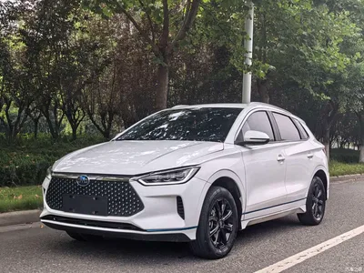 2021 BYD e2 Luxury Edition, фото 1, лот 11548018
