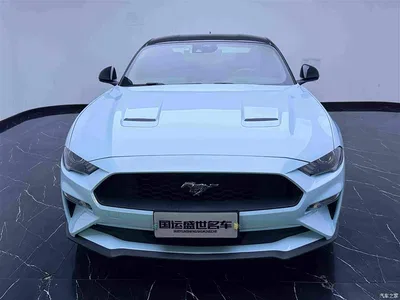 2021 Ford Mustang 2.3T EcoBoost, фото 3, лот 10292646