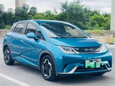 2021 BYD Dolphin 405km Freedom Edition, фото 2, лот 10245953