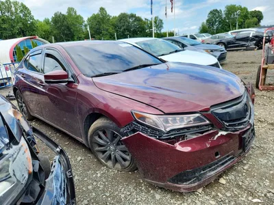 2016 ACURA TLX, фото 4, лот 10871594